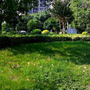 欧达HDR-AC3摄像机，4k DV摄像机带WIFI，成色如议价也可维修