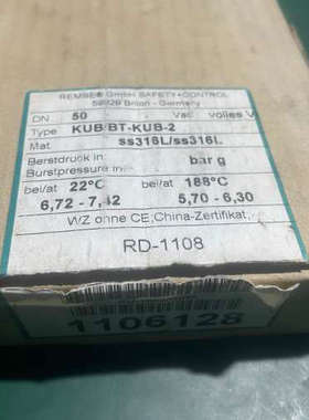 德国REMBE爆破片KUB/BT-KUB-0.75，进口议价也可维修