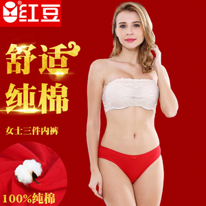 红豆女士大红色本命年结婚鸿运纯棉三角内裤女红三角裤