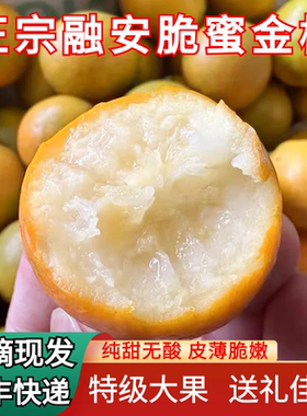 正宗广西融安脆蜜金柑当季水果脆甜小桔子新鲜融安脆蜜金桔皮顺丰