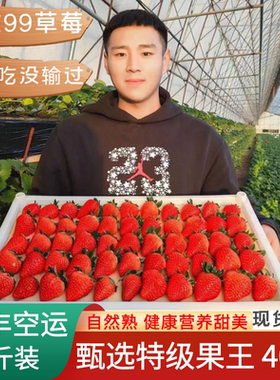 丹东99草莓椅圈马家岗秸秆新鲜牛奶奶油东港大九九红颜草莓礼盒装