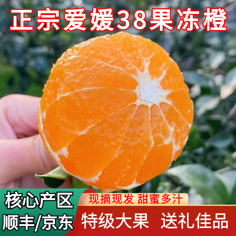 正宗眉山爱媛38号果冻橙现摘手剥橙子四川红美人新鲜特级大果包邮