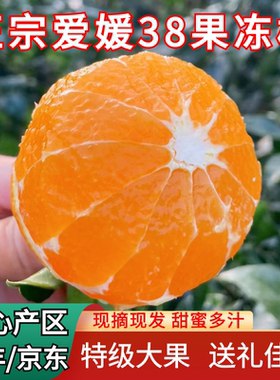 正宗眉山爱媛38号果冻橙现摘手剥橙子四川红美人新鲜特级大果包邮