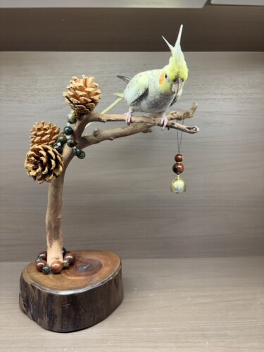 实拍原木鹦鹉桌面站架鸟架手工制作松果装饰虎皮牡丹玄凤鹦鹉站杆