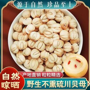 贝母中药材煲汤煮水新货正品干货非野生枇杷膏糖炖梨20g袋