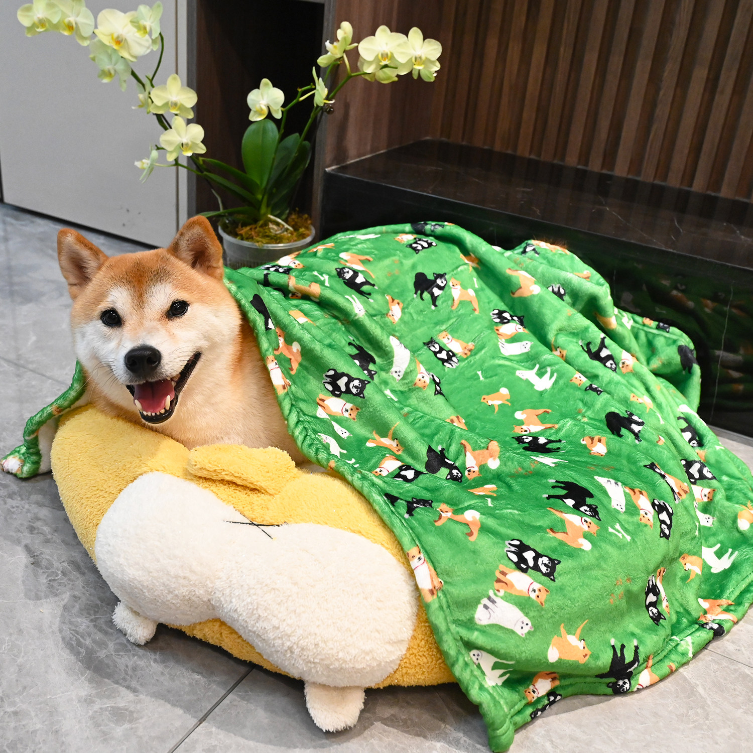 法兰绒珊瑚绒小被子保暖秋冬睡觉毯子 宠物狗狗柯基泰迪柴犬毛毯,宠物/宠物食品及用品,狗窝/屋/帐篷/沙发,淘宝优惠券,粉丝福利购,淘宝优惠卷