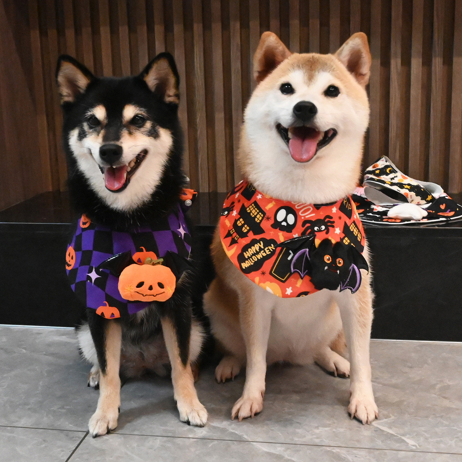 万圣节宠物围脖猫咪狗狗柯基泰迪柴犬围巾搞怪南瓜饰品三角巾纯棉