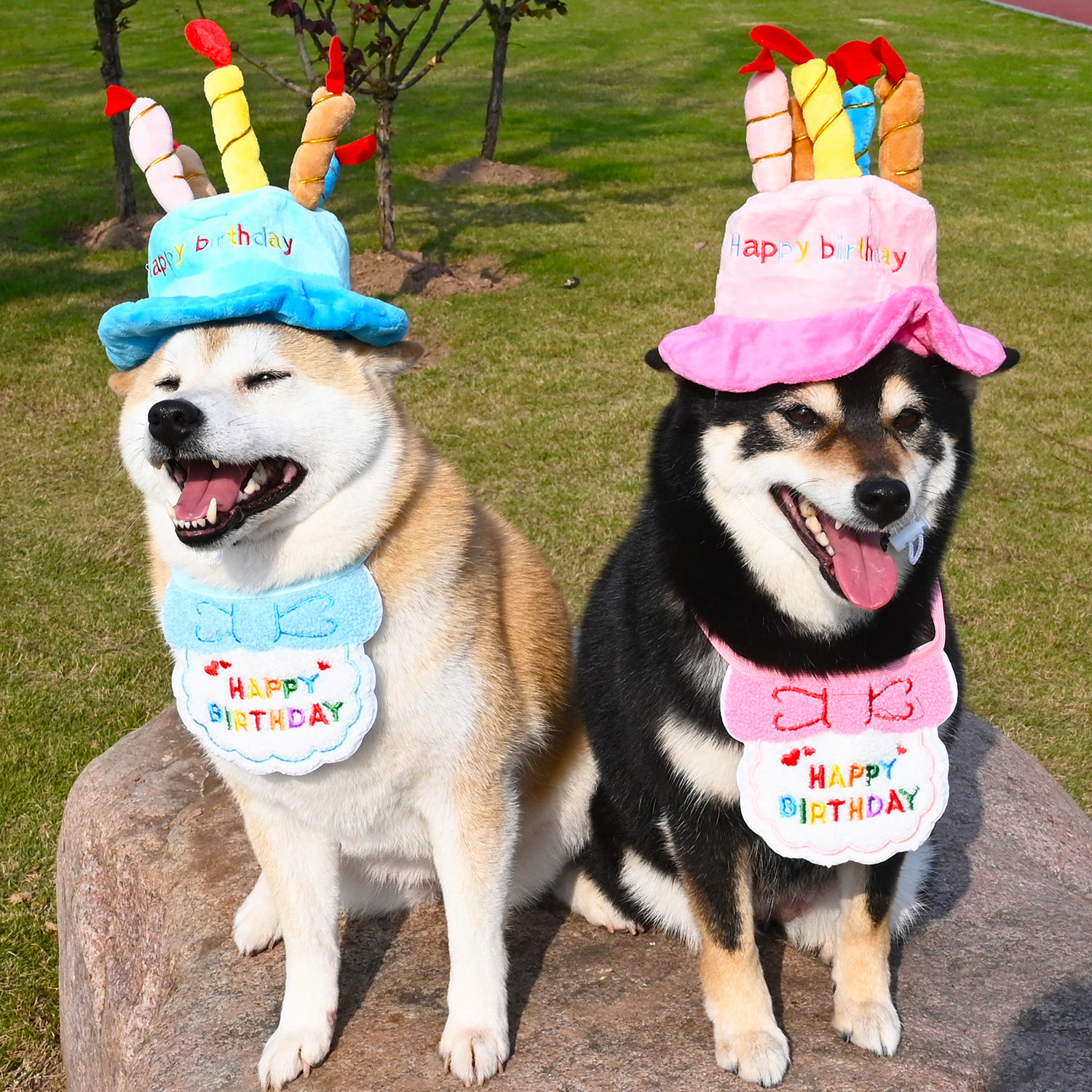 宠物狗狗法斗柯基比熊柴犬生日派对饰品帽子头套围巾围脖庆祝生日,宠物/宠物食品及用品,围巾/口水巾,淘宝优惠券,粉丝福利购,淘宝优惠卷