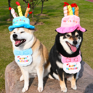 宠物狗狗法斗柯基比熊柴犬生日派对饰品帽子头套围巾围脖庆祝生日