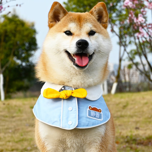 狗狗猫咪法斗可爱蝴蝶结披风