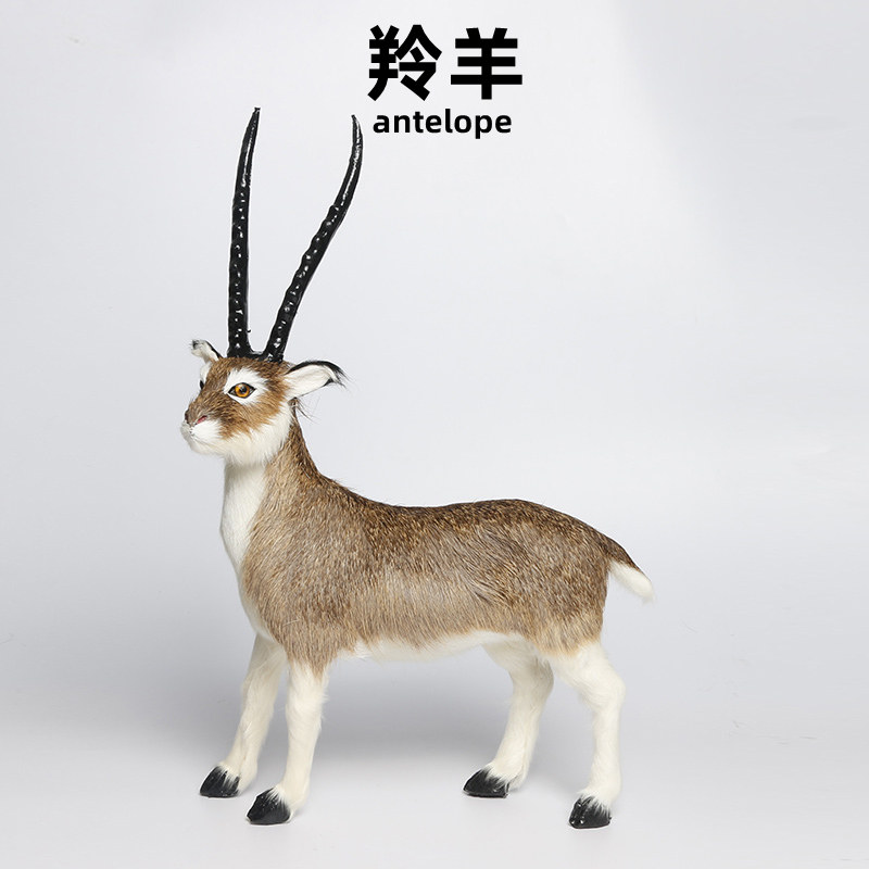 真皮毛藏羚羊摆件玩偶工艺品仿真羚羊动物玩具模型标本摆设装饰品