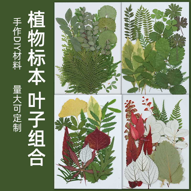 网红真干花创意脸部贴装饰diy