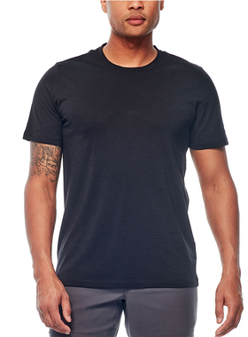 新西兰Tech美丽诺羊毛T恤男ICEB户外短袖运动休闲排汗打底衫200gm