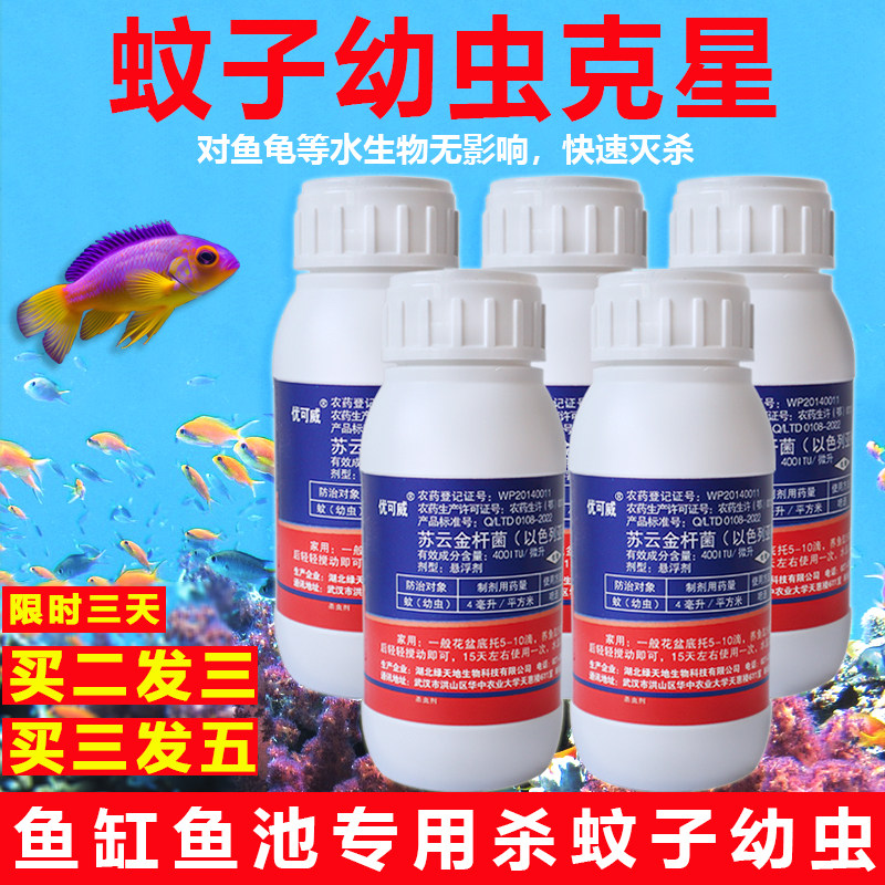 蚊子幼虫药克灭星除孑孓卵鱼缸鱼池水池塘水培植物灭蚊虫卵杀虫剂