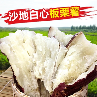 重庆2025新鲜红薯红皮白心番薯淡黄心地瓜自种板栗薯干粉香糯