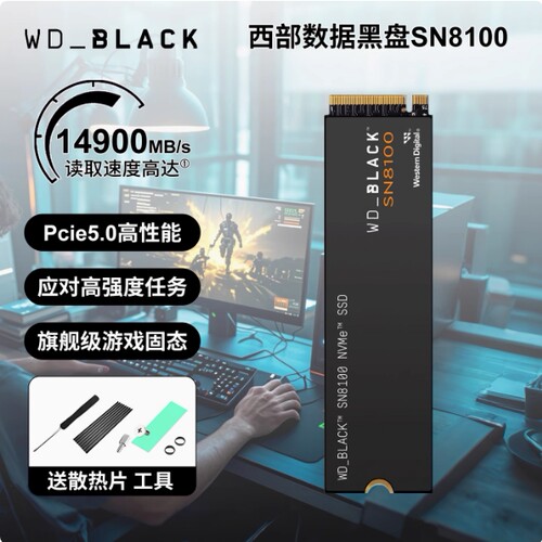 西部数据SN8100黑盘1T