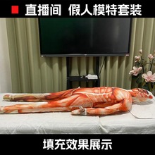 肌肉连体衣塑身衣按摩练习手法模特服装 全头套 直播间专用假人套装