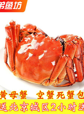 清水大闸蟹满黄母蟹满膏公蟹