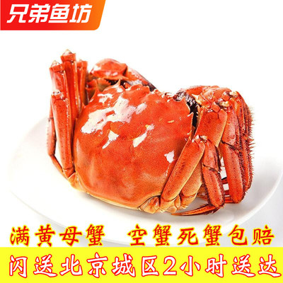 清水大闸蟹满黄母蟹满膏公蟹