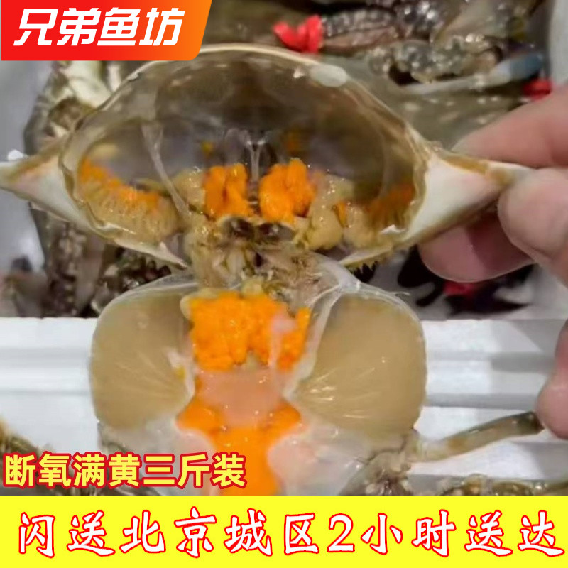 3斤装当天断氧死的满黄满肉梭子蟹残蟹冰鲜掉腿螃蟹海鲜6-10只