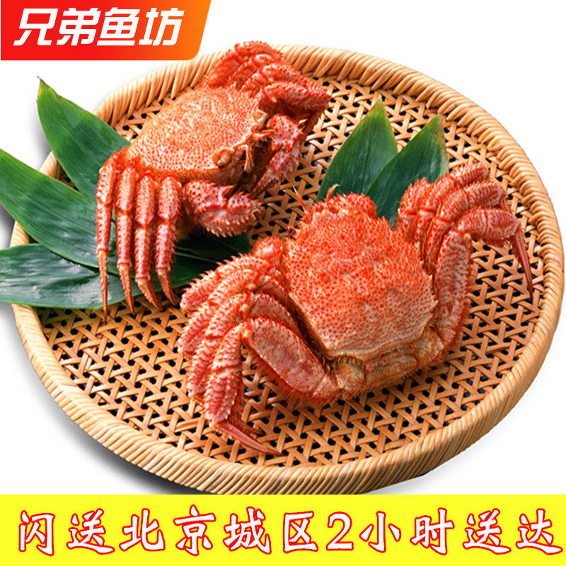 2斤/只北京闪送俄罗斯进口超大红毛蟹鲜活螃蟹日料刺身食材海蟹