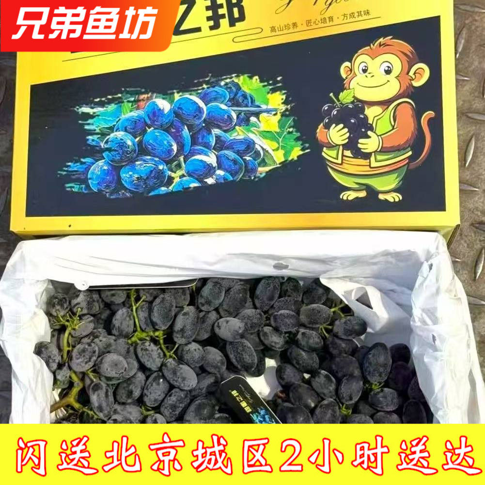 4斤装仅限北京闪送甜蜜之邦｜云南黑提当季新鲜水果葡萄纯甜无籽