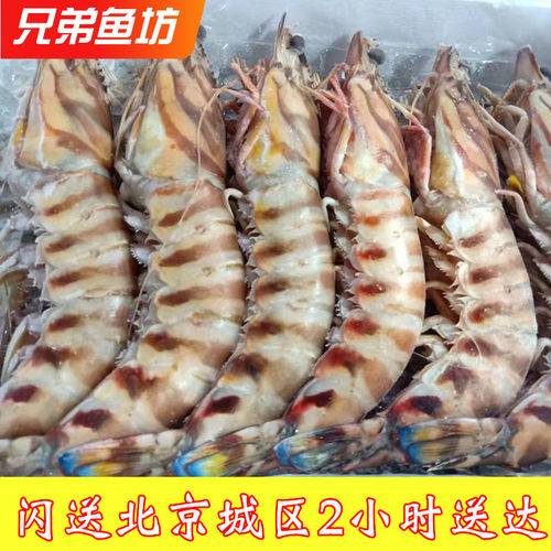 北京闪送特大野生竹节虾大虾冷冻海鲜水产基围虾海虾对虾3-4只/斤