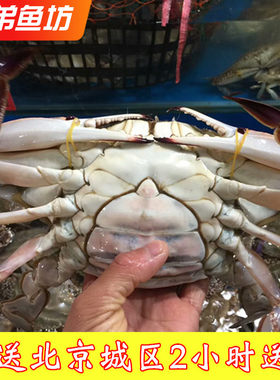 满黄满肉梭子蟹活海蟹螃蟹