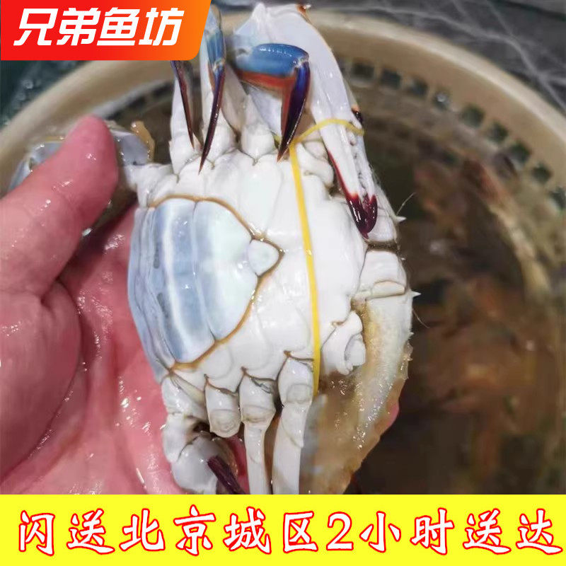 500克当天断氧死的满黄满肉梭子蟹残蟹冰鲜掉腿螃蟹海鲜2-3只/斤