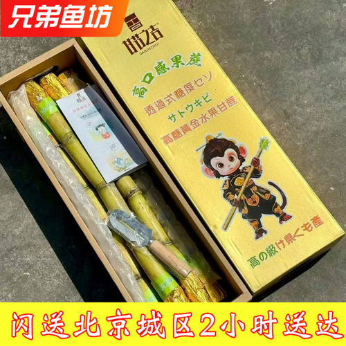 云南黄金甘蔗高口感果蔗
