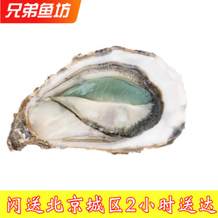进口鲜活即食牡蛎刺身非吉拉多 北京闪送法国绿翡翠生蚝 3只起拍