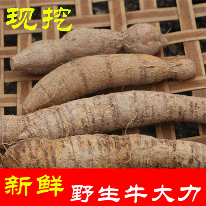 野生牛大力新鲜现挖中药材金钟根广东药膳汤料牛大力薯500克包邮