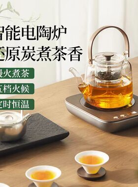 鸣盏家用电陶炉煮茶器养生壶