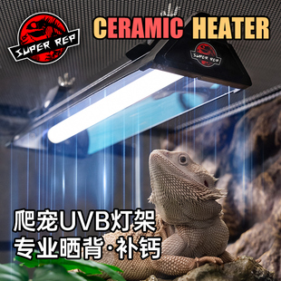 SuperRep爬宠UVB灯管罩T5 T8灯条架鬃狮蜥蜴水龟陆龟补钙灯罩