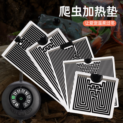 爬虫加热垫乌龟守宫玩具