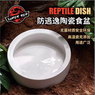 SuperRep爬虫防逃逸食盆爬宠蜥蜴守宫鬃狮面包虫大麦面包虫陶瓷