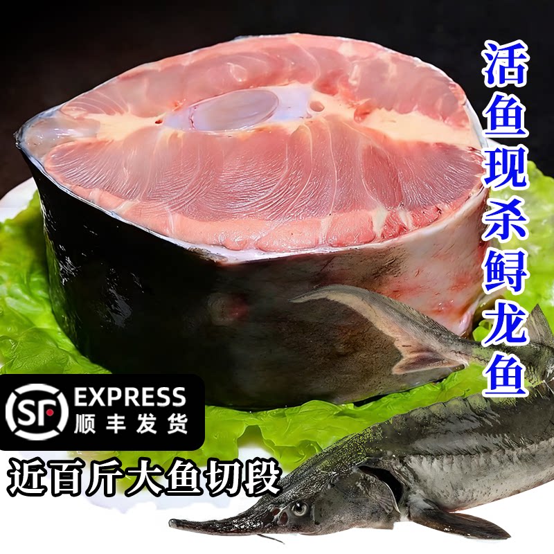 鲟龙鱼肉鲟鱼唇肉鱼肉块冷冻鱼肉顺丰