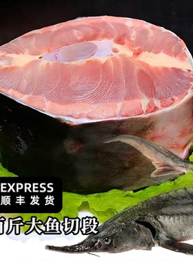 冰天冻地鱼唇鲟鱼肉冷冻