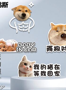 两狗对视表情包定制车贴防水