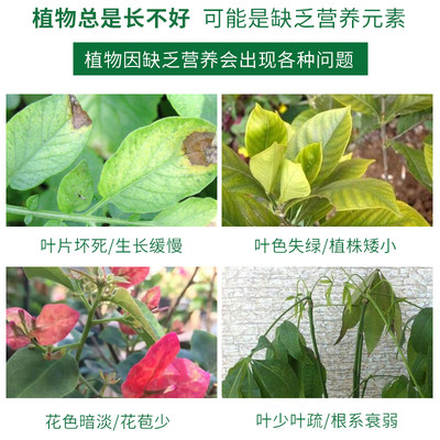 家庭阳台花肥绿植盆栽月季中微量元素肥料钙镁硼锌铁通用型水溶肥