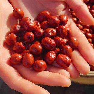 酸枣粒山西吕梁临县山上小酸枣仁小红枣泡水零食小圆粒红枣500g袋