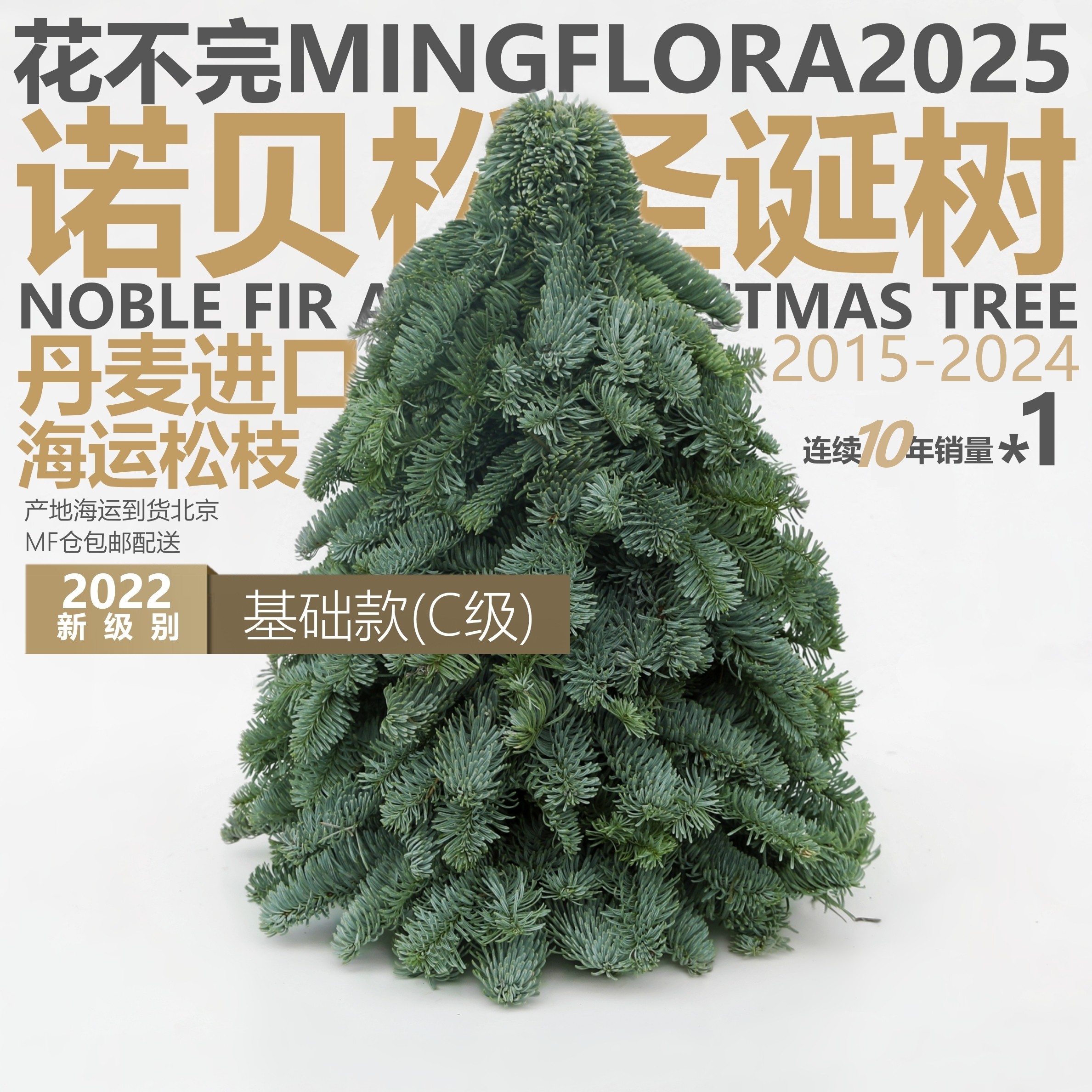 诺贝松圣诞树丹麦荷兰进口鲜活真松枝花不完MINGFLORA礼物装饰