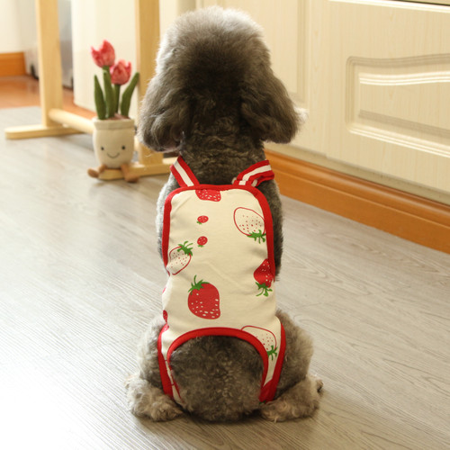 宠物狗生理裤纯棉薄款猫咪绝育服