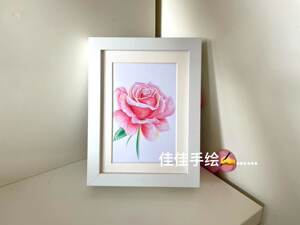 彩色铅笔玫瑰价格 彩色铅笔玫瑰图片 星期三