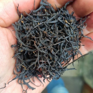 2025茶上市高品质红茶婺源高山小种红茶花果香浓郁甜润正品500克