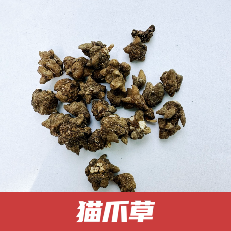猫爪草批发野生猫抓草河南药材道地野生
