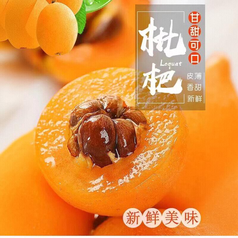 云阳现摘现发应季巴阳大五星枇杷鲜果新鲜当季孕妇水果甜琵琶包邮