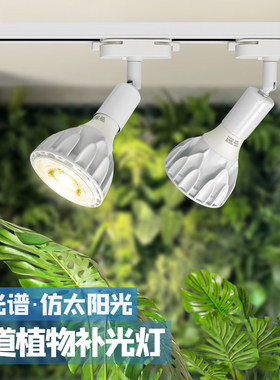 植物补光灯LED轨道射灯全光谱太阳光室内绿植墙鹿角蕨生长灯