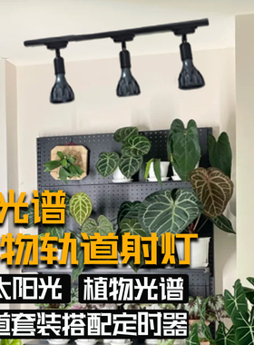 led全光谱植物补光灯块根龙舌兰鹿角蕨多肉热植生长灯鱼缸爆藻灯