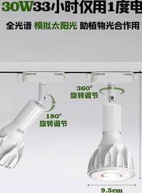 灯植光D植轨道灯物L内全光模拟阳太E谱室光长绿墙补生灯